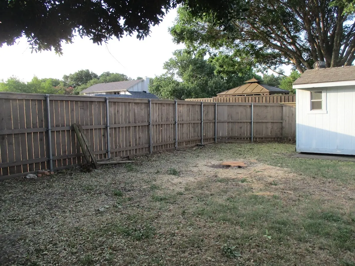 Cleared yard after professional tree removal in Spring Mount